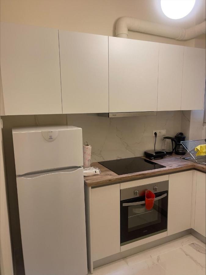 Stylish City Center Garden Apartment Atene Esterno foto